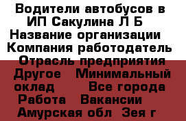 Водители автобусов в ИП Сакулина Л.Б › Название организации ­ Компания-работодатель › Отрасль предприятия ­ Другое › Минимальный оклад ­ 1 - Все города Работа » Вакансии   . Амурская обл.,Зея г.